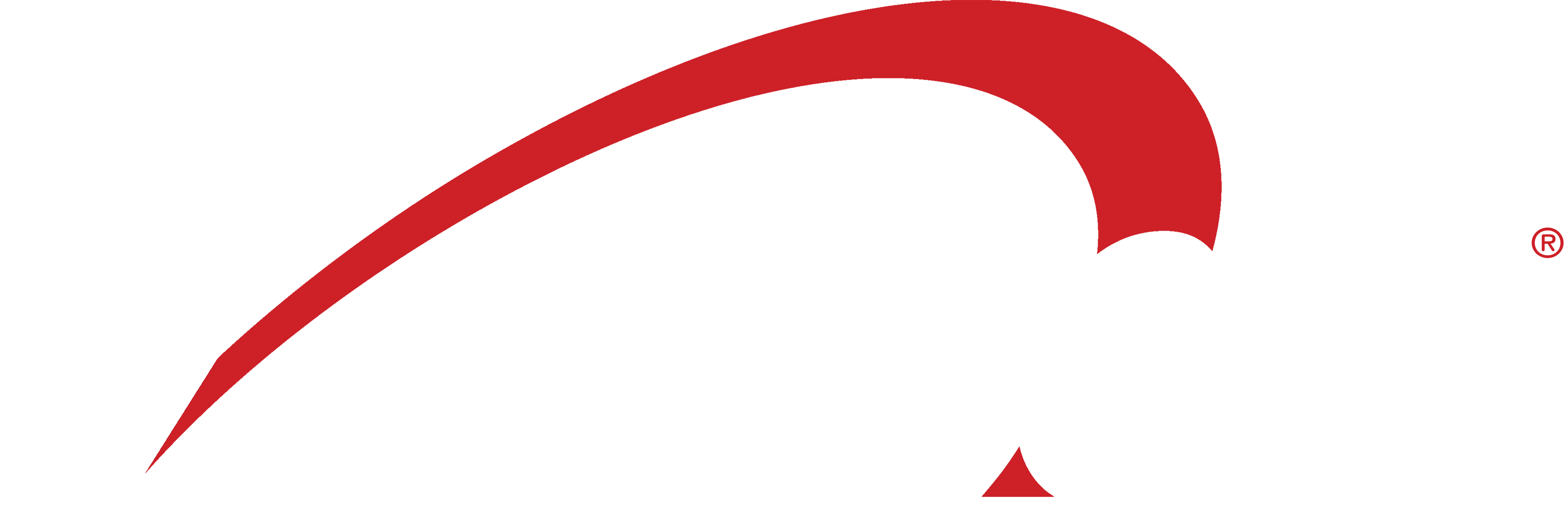 Acordis Logo