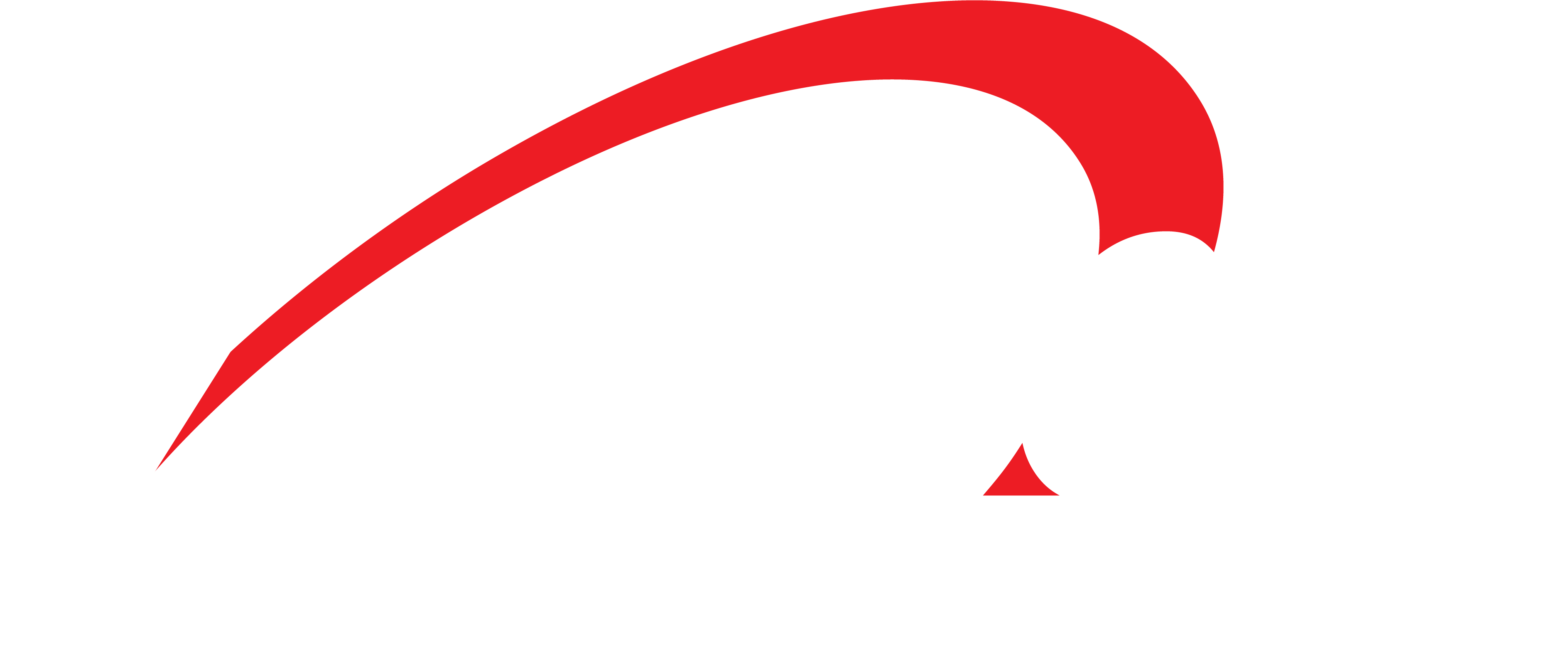 Acordis Logo